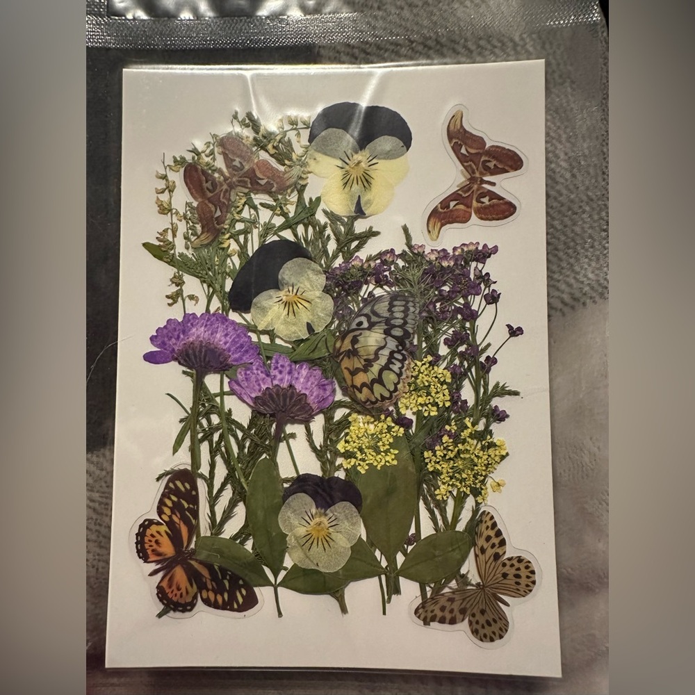 Pressed Flower and Butterfly Art